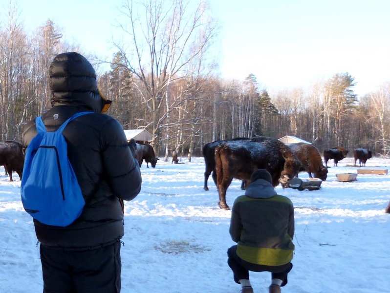 ФОТО ЗУБРЫ