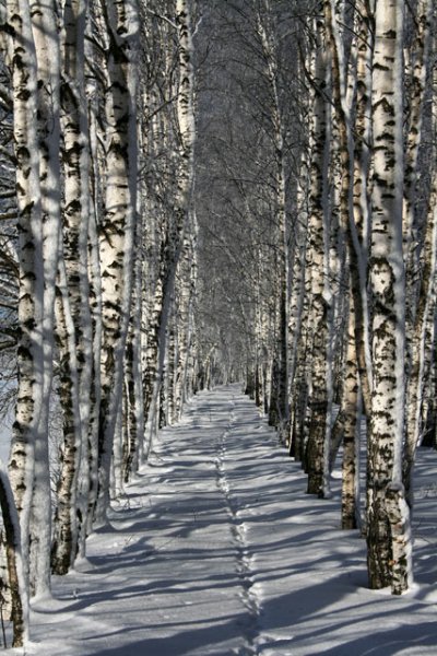 Фотоработы Дмитрия Куликова