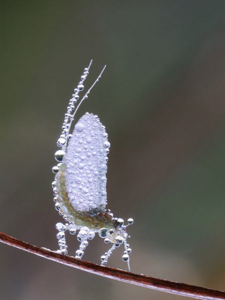macro3-3