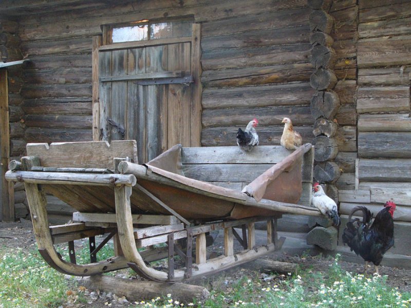 Фото Натальи Шпиленок