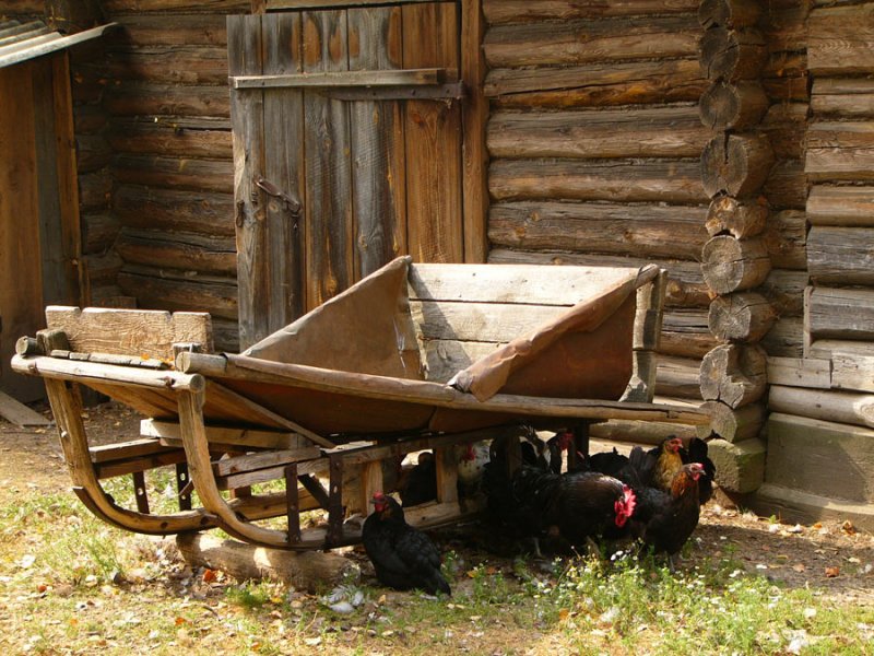 Фото Натальи Шпиленок