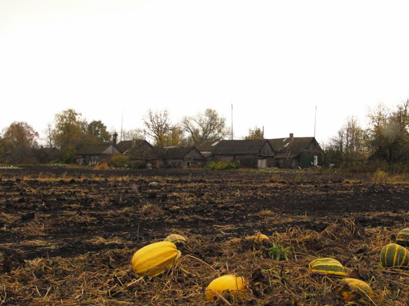 Фото Натальи Шпиленок