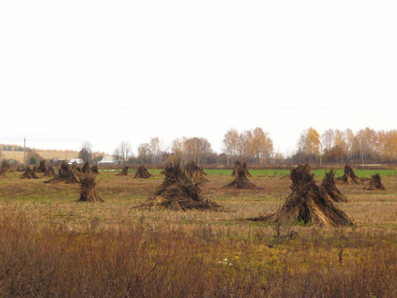 Фото Натальи Шпиленок