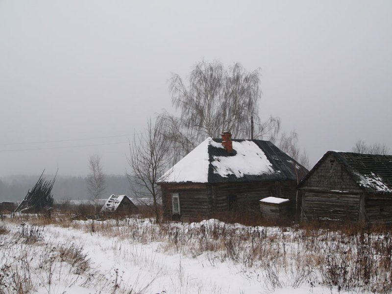 Фото Натальи Шпиленок