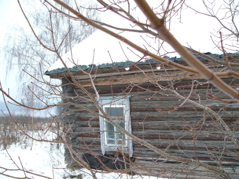 Фото Натальи Шпиленок