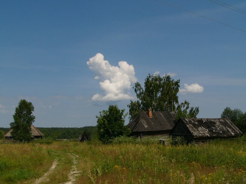 Фото Натальи Шпиленок